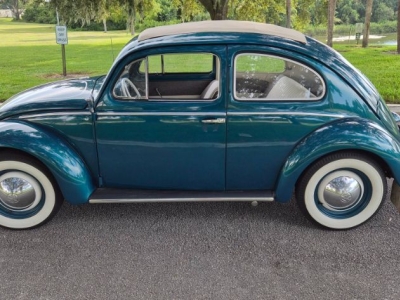 1955 Volkswagen Beetle for sale