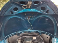 1955 Volkswagen Beetle for sale (ID-144687)