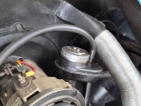 1955 Volkswagen Beetle for sale (ID-144687)