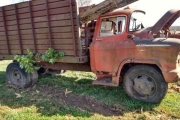 1956 Chevrolet 5700 for sale