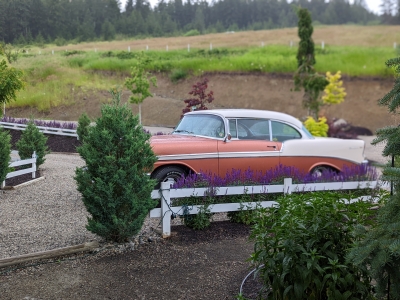 1956 Chevrolet Bel Air for sale in British Columbia