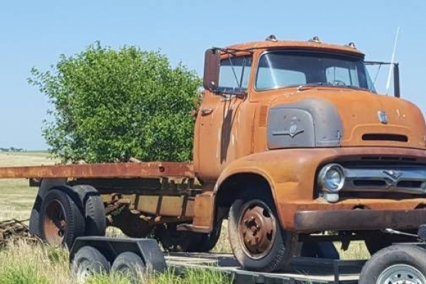 1956 Ford COE for sale