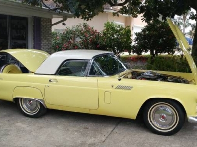 1956 Ford Thunderbird for sale