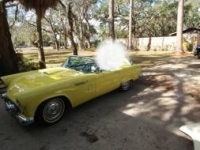 1956 Ford Thunderbird for sale in Florida (ID-80447)