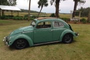 1956 Volkswagen Beetle for sale
