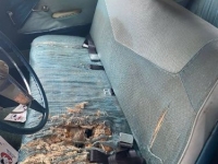 1956 Buick Special for sale in Michigan (ID-94346)