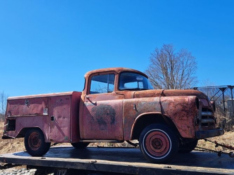 1956 Dodge D150 for sale in Michigan (ID-126650)