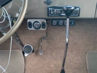 1956 Ford F100 for sale (ID-124977)
