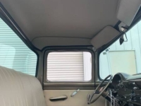 1956 Ford F100 for sale (ID-124977)