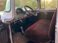 1956 Ford F100 for sale in Michigan (ID-141802)