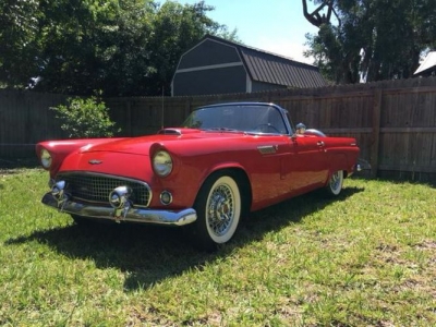 1956 Ford Thunderbird for sale