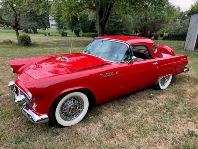 1956 Ford Thunderbird for sale