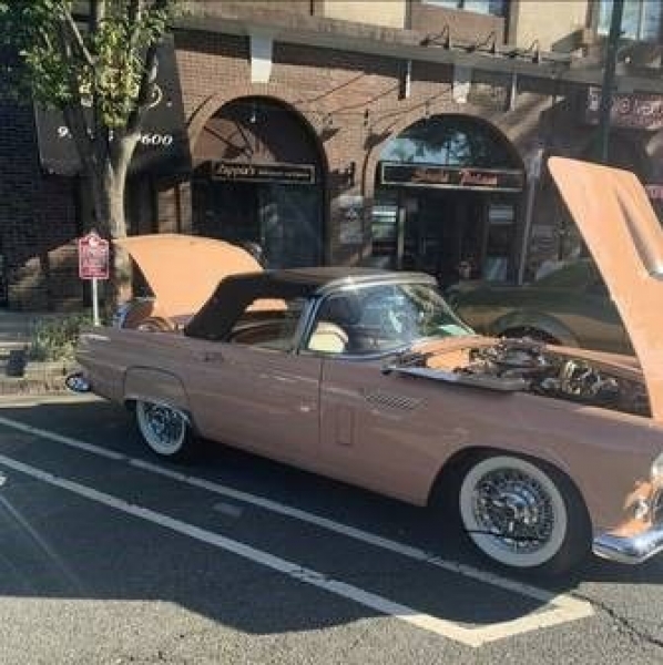 1956 Ford Thunderbird for sale in Michigan (ID-108038)
