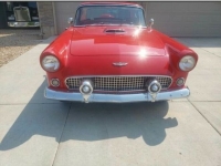 1956 Ford Thunderbird for sale in Michigan (ID-118621)