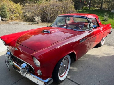 1956 Ford Thunderbird for sale