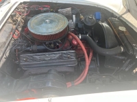1956 Ford Thunderbird for sale in Michigan (ID-128124)