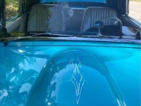 1956 Ford Thunderbird for sale in Michigan (ID-132561)