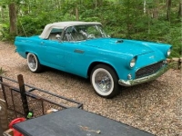 1956 Ford Thunderbird for sale in Michigan (ID-132561)