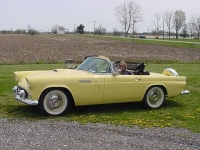 1956 Ford Thunderbird for sale (ID-122839)