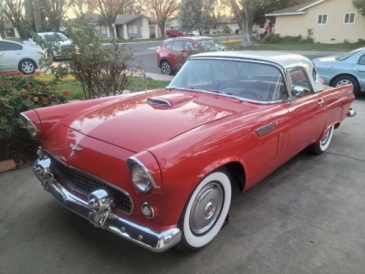 1956 Ford Thunderbird for sale