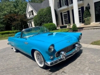 1956 Ford Thunderbird for sale in Michigan (ID-142119)