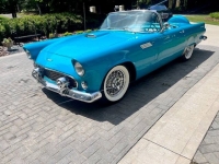 1956 Ford Thunderbird for sale in Michigan (ID-142119)
