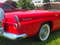 1956 Ford Thunderbird for sale in Michigan (ID-142413)