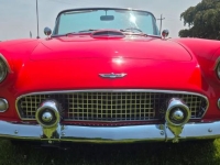 1956 Ford Thunderbird for sale in Michigan (ID-142413)