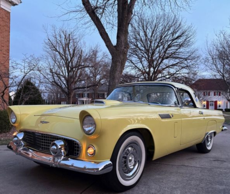 1956 Ford Thunderbird for sale in Michigan (ID-161722)