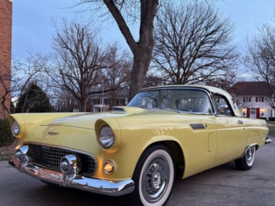1956 Ford Thunderbird for sale