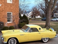 1956 Ford Thunderbird for sale in Michigan (ID-161722)