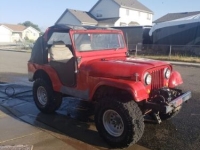 1956 Jeep CJ5 for sale in Michigan (ID-138413)