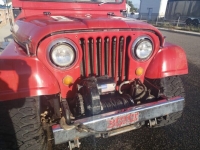 1956 Jeep CJ5 for sale in Michigan (ID-138413)