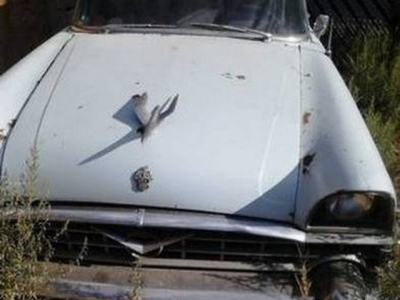 1956 Packard Executive for sale