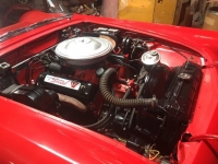 1957 Ford Thunderbird for sale in Michigan (ID-88005)