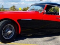 1957 Austin-Healey 100-6 for sale in Michigan (ID-130649)
