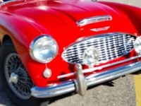 1957 Austin-Healey 100-6 for sale in Michigan (ID-130649)