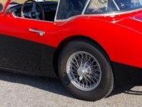 1957 Austin-Healey 100-6 for sale in Michigan (ID-130649)