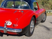 1957 Austin-Healey 100-6 for sale in Michigan (ID-130649)