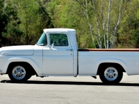 1957 Ford F100 for sale in Michigan (ID-142121)