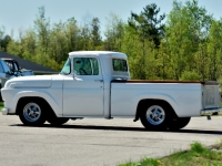 1957 Ford F100 for sale in Michigan (ID-142121)