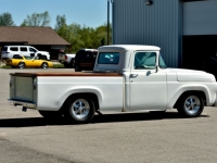 1957 Ford F100 for sale in Michigan (ID-142121)