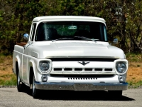 1957 Ford F100 for sale in Michigan (ID-143660)
