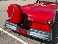 1957 Ford Fairlane 500 for sale in Michigan (ID-112609)