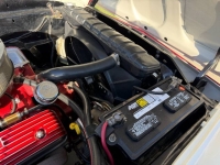 1957 Ford Fairlane 500 for sale in Michigan (ID-164520)