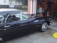 1957 Ford Thunderbird for sale in Michigan (ID-96832)