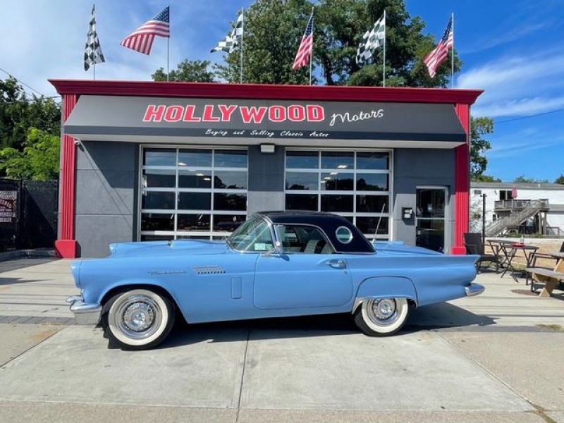 1957 Ford Thunderbird for sale in Riverhead, New York (ID-106208)