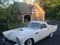 1957 Ford Thunderbird for sale in Michigan (ID-106578)