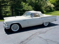 1957 Ford Thunderbird for sale in Michigan (ID-106578)