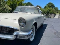 1957 Ford Thunderbird for sale in Michigan (ID-106578)
